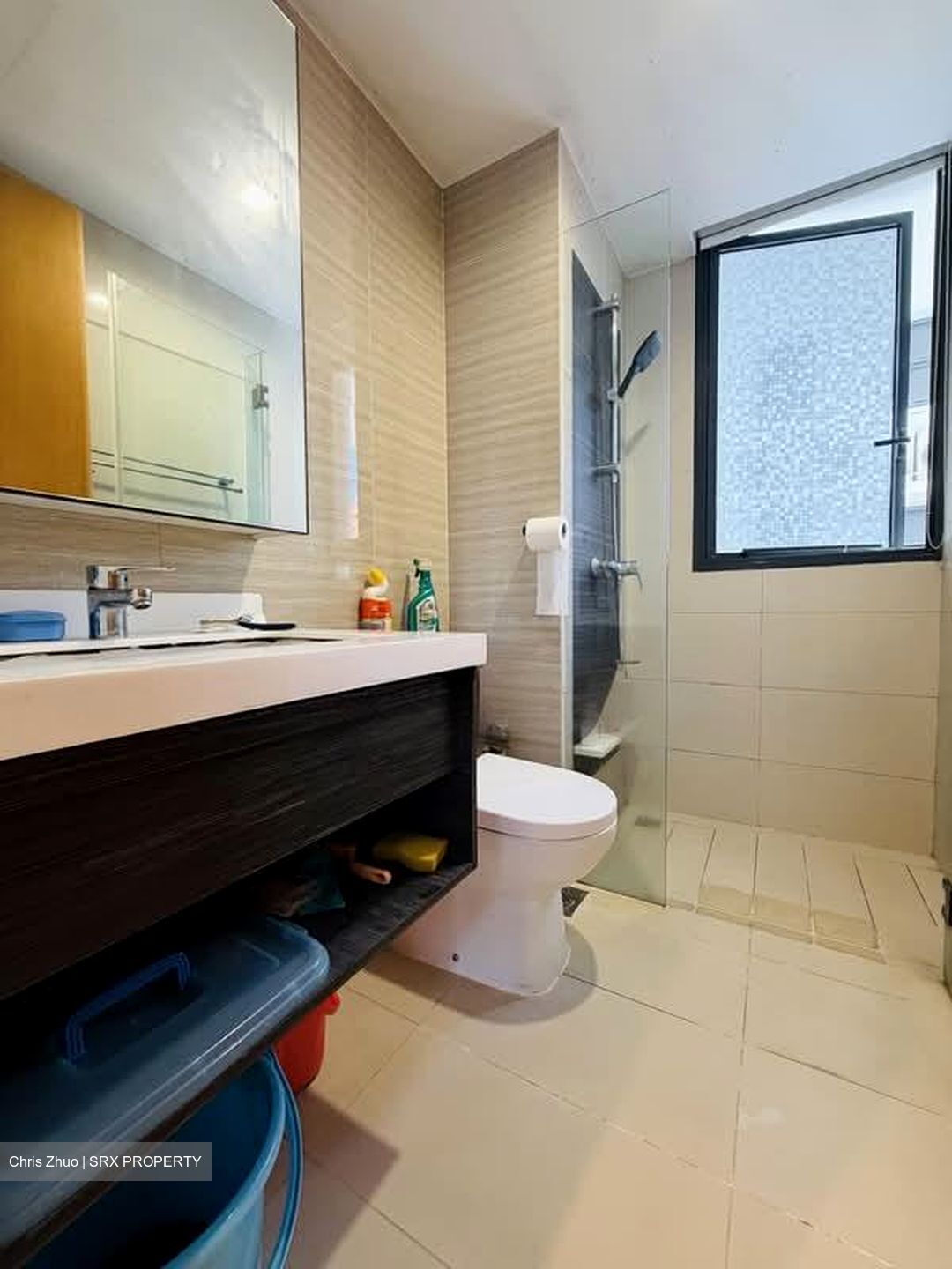 Blossom Residences (D23), Condominium #600953251